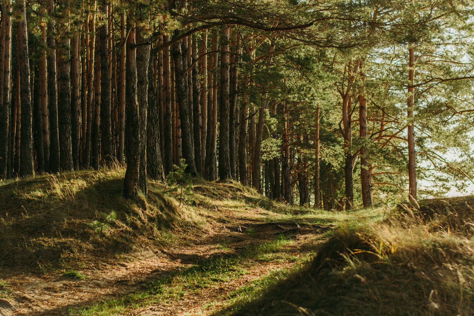 uniek overnachten op de Veluwe uniek overnachten op de Veluwe